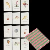 Anna + Nina Assorted Greeting Cards Set of 12