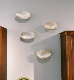 Bali Shell Wall Object