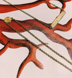 Coin Necklace 14K