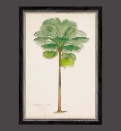 G&C Palm Painting
