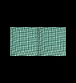 Gingham Napkin Set of 2