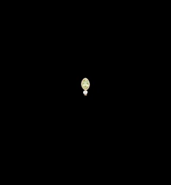 Lucky Talisman Piercing Front 14K