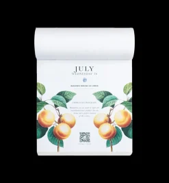 MoonSisters Moon Calendar EN