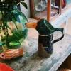 Quail Mallard Water Jug