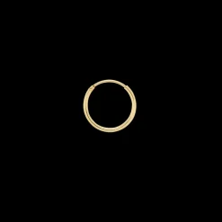 Single Plain Ring Earring
