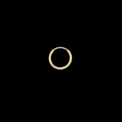 Single Plain Ring Earring