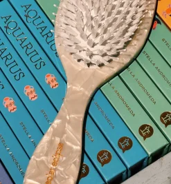 Solar Eclipse Yin Yang Hair Brush