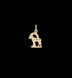 Zodiac Charm 14K
