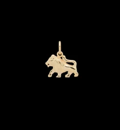 Zodiac Charm 14K