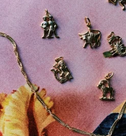 Zodiac Charm 14K
